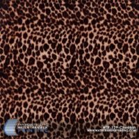 WTP-129 Cheetah