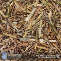 WTP-484 Longleaf Fatal Flight
