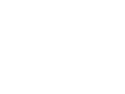 Moon Shine Camo Logo