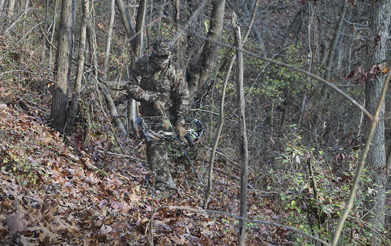 Raider Espada Ancha Caza en el Bosque