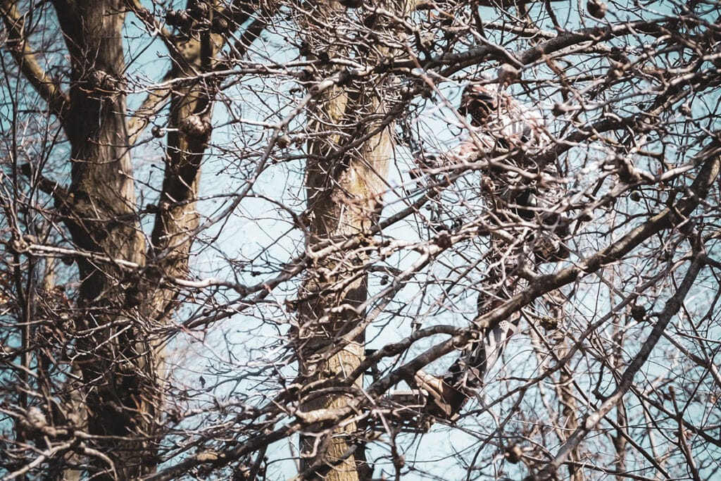 ALTRE Camo Treestand